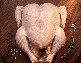 Pavo